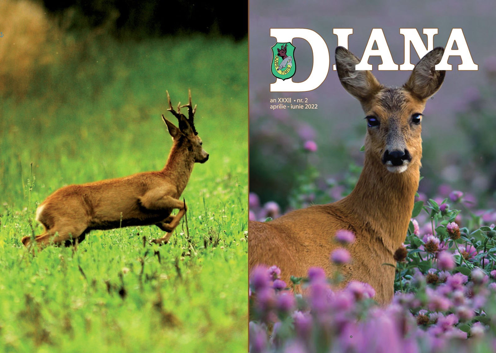 Revista Diana - Nr.2 / 2022